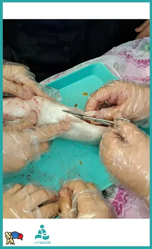 مدرسه علامه طباطبایی واحد یوسف آباد، تشریح از نظر آموزشی و علمی بر دانش آموزان علامه طباطبایی واحد یوسف آباد موثر بوده است.
